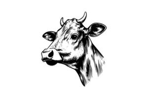 Cow head with horns logotype engraving style isolated vector illustration. photo