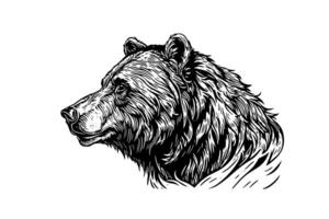 Bear head side view logotype vector engraving style illustration photo