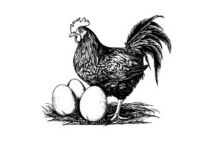 artbord templateChicken or hen is hatching eggs drawn in vintage engraving  style vector illustration photo