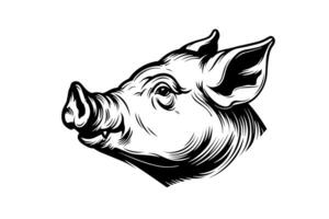 Cute pig or pork head engraving style vector illustration. photo