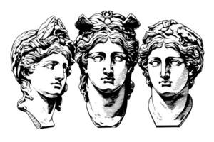 Set of antique statue head of greek sculpture sketch engraving style vector illustration pack. photo