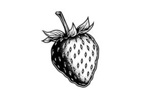 Strawberry in engraving style. Design element for poster, card, banner, sign. Vector illustration photo