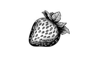 Strawberry in engraving style. Design element for poster, card, banner, sign. Vector illustration photo