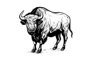 mano dibujado búfalo. vector ilustración de toro tinta bosquejo grabado estilo. foto