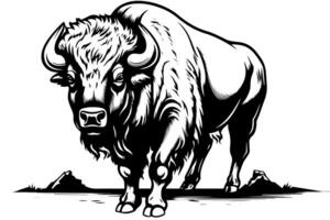 Hand drawn buffalo. Vector illustration of bull ink sketch engraving style. photo