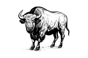Hand drawn buffalo. Vector illustration of bull ink sketch engraving style.