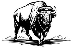 mano dibujado búfalo. vector ilustración de toro tinta bosquejo grabado estilo. foto