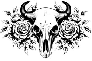 Buffalo skull hand drawn vector illustration in engraving style ink sketch. photo