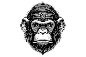 Monkey head or face hand drawn vector illustration in engraving style ink sketch.