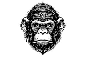 Monkey head or face hand drawn vector illustration in engraving style ink sketch. photo