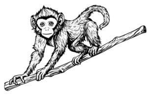 Monkey sitting on a branch. Ink sketch engraving vector illustration.