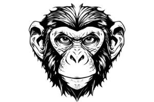 Monkey head or face hand drawn vector illustration in engraving style ink sketch. photo