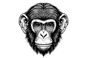 Monkey head or face hand drawn vector illustration in engraving style ink sketch. photo