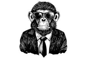 Monkey businessman dressed. Vector engraving style sketch illustration. photo