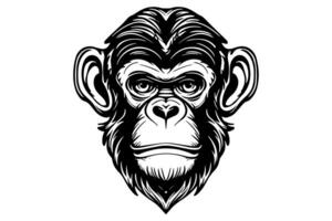 Monkey head or face hand drawn vector illustration in engraving style ink sketch. photo