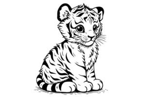 Hand drawn engraving style sketch of a tiger cub, vector ink illustration.