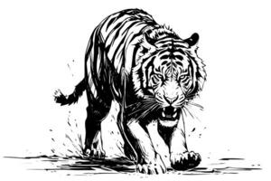 mano dibujado grabado estilo bosquejo de un tigre, vector tinta ilustración. foto