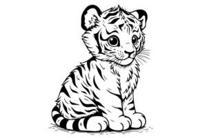 Hand drawn engraving style sketch of a tiger cub, vector ink illustration. photo