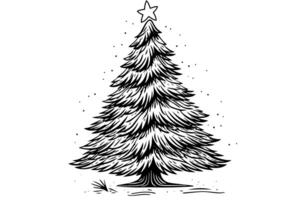 Christmas tree vector illustration. Hand drawn, engraving, ink, sketch. photo