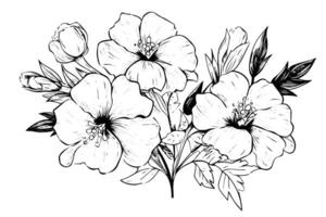 Isolated cosmea vector illustration element. Black and white engraving style ink art.