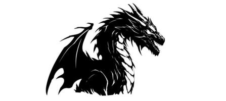 Graphic silhouette of black dragon isolated on white background. Vector illustration . photo
