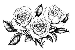 Vintage rose flower engraving calligraphic .Victorian style tattoo vector illustration photo