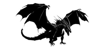 Graphic silhouette of black dragon isolated on white background. Vector illustration .