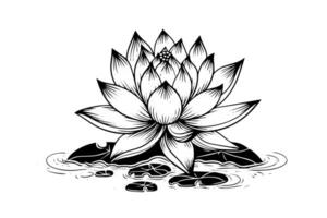 A lotus lily water flower in a vintage woodcut engraved etching style vector illustration.