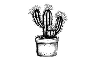 Cactus hand drawn ink sketch. Engraving style vector illustration. photo