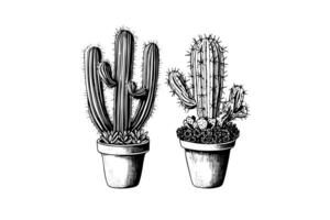 Set of cactuses hand drawn ink sketch. Engraving style vector illustration. photo