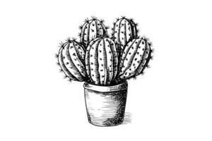 Cactus hand drawn ink sketch. Engraving style vector illustration.