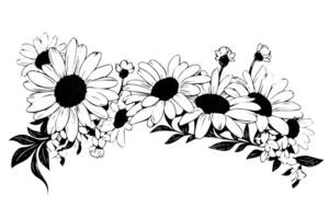 Hand drawn chamomile ink sketch. Daisy bouquet engraving vector illustration. photo