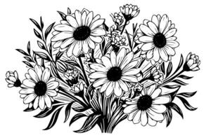 mano dibujado manzanilla tinta bosquejo. margarita ramo de flores grabado vector ilustración. foto