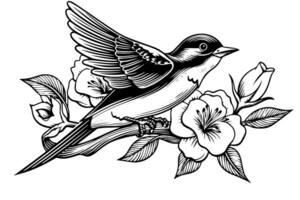 Ink sketch of swallow sitting on a branch. Hand drawn engraving style vector illustration. photo