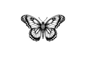 mariposa bosquejo. mano dibujado grabado estilo vector ilustración. foto