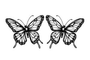 conjunto de mariposa bosquejo. mano dibujado grabado estilo vector ilustración. foto