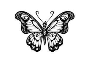 mariposa bosquejo. mano dibujado grabado estilo vector ilustración. foto