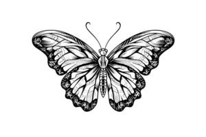 mariposa bosquejo. mano dibujado grabado estilo vector ilustración. foto