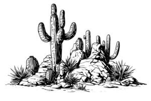 Landscape with cactus in engraving style vector illustration.Cactus hand drawn sketch imitation. photo