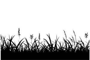 Abstract background with black silhouettes of meadow wild herbs and flowers. Vector illustration. photo