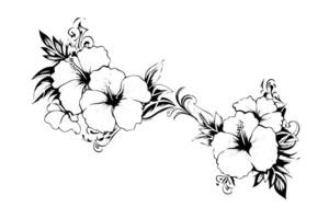 Hibiscus flowers in a vintage woodcut engraved etching style. Vector illustration. photo