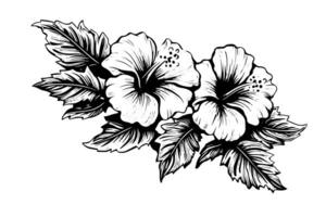 hibisco flores en un Clásico xilografía grabado grabando estilo. vector ilustración. foto
