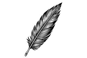 A vintage feather quill etching style sketch. Vector engraving style illustration. photo