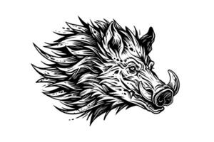 Boar or wild pig head drawing ink sketch, vintage engraved style vector illustration. photo