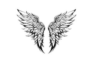 Angel wings ink sketch in engraving style. Hand drawn fenders vector illustration. photo