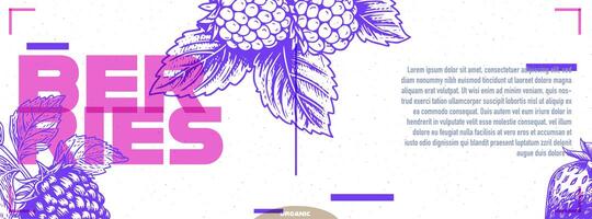 Pink and purple poster or banner design with strawberry in etching style with space for text. Vector illustration. photo