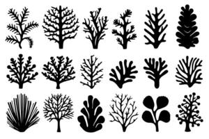 Hand drawn set of corals and seaweed silhouette isolated on white background. Vector icons and stamp illustration. photo