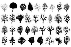 Hand drawn set of corals and seaweed silhouette isolated on white background. Vector icons and stamp illustration. photo