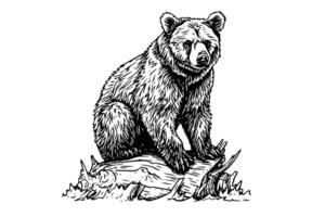 Ink hand drawing sketch bear bear sitting on a log. Vector Illustration in engraving style. photo