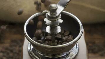 koffie bonen in Slijper, langzaam beweging schot video